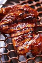 grilled meat on the grill