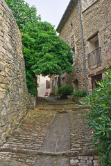 Fototapeta na wymiar Bonnieux in Provence, Old city street view, France, Europe
