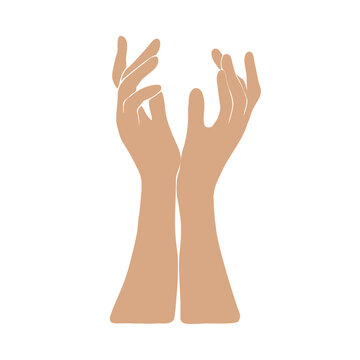 Two woman hands minimal icon. Elegant female arms gesture. Human finger touch or hold something pose vector