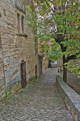Fototapeta na wymiar Bonnieux in Provence, Old city street view, France, Europe