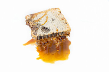 fresh honeycomb on a white background