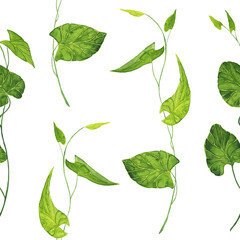 Watercolor of branch morning glory in seamless pattern on white background. Hand drawing illustration. Perfect for fabric or digital paper.