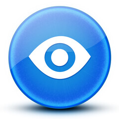 Visibility eyeball glossy blue round button abstract