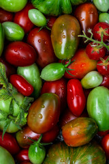 colorful organic tomatoes in a vintage plate