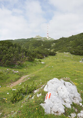 Naklejka premium Wanderung auf den Dobratsch