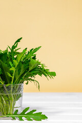 Fresh green arugula salad on glass with water on a wooden table. Simple rustic background, antioxidant and healthy food, Green Salad, Orange background