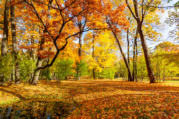 Alexander park in autumn, Pushkin (Tsarskoe Selo), Saint Petersburg, Russia