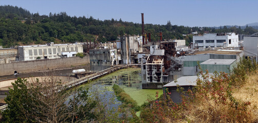 Fototapeta na wymiar Panorama of historic Oregon City paper mill on the Willamette River.