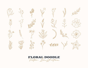 Fototapeta na wymiar Doodle vector flowers set. Hand drawn Decorative elements for design. Ink, vintage and rustic styles.