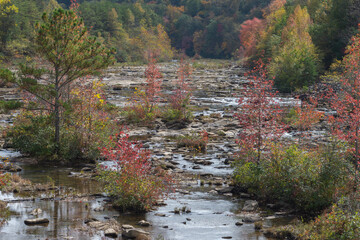Autumn in the forest and a creek running through
