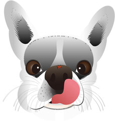 鼻の上に停まったてんとう虫を舌で舐めようとしているフレンチブルドッグ