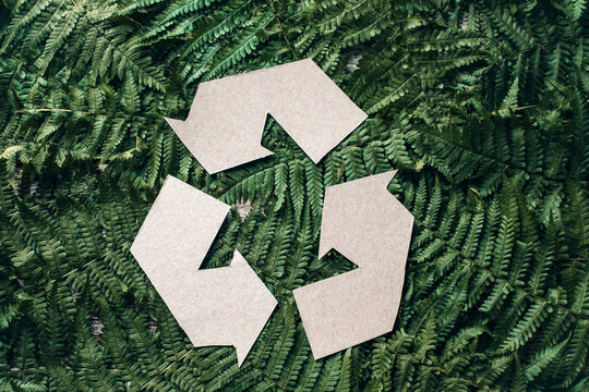Reuse symbol on a background of green ferns. Zero waste lifestyle.