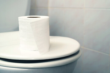 Toilet paper is placed on the toilet sanitary ware.