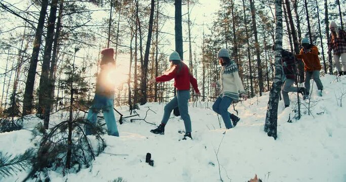 Cinematic side view, happy group of friends walk along snowy winter forest path with dog at holidays weekend slow motion