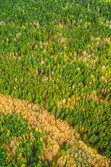 Spring Season. Aerial View Of Deciduous Trees Without Foliage Leaves And Green Pine Forest In Landscape In Early Spring. Top View From Attitude. European Woods At Springtime. Natural Border