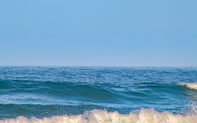 birds fishing in the sea