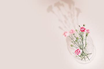 Bouquet of variegated pale pink Dianthus carnations.