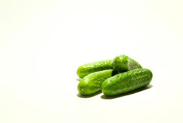fresh green cucumbers on the white background with copy space