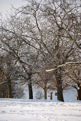 Spuren im Schnee, im tief verschneiten Park.