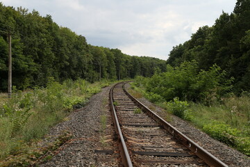 Fototapeta na wymiar The railway in the forest