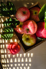 rustic apples from the garden with leaves