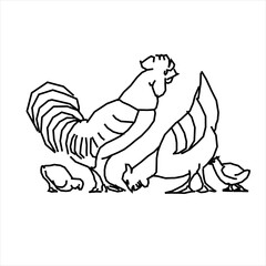 Vector design of rooster and hen and chicks and chicks sketch