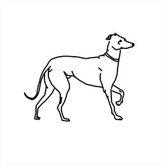 Vector design sketch of a dog walking