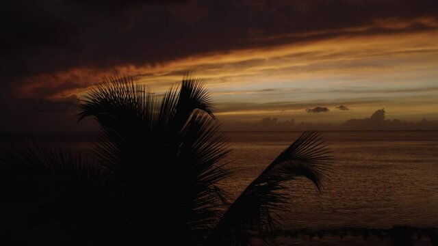 Cinematic reveal of a tropical romantic sunset from behind silhouetted palm trees at Ostiones Beach in Puerto Rico. Aerial drone footage.