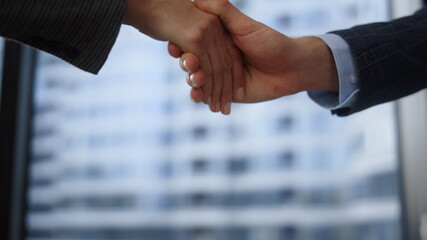 Businessman and businesswoman handshaking. Employee shaking hands at meeting