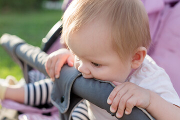 A 6-month-old child bites the edge of the stroller with effort, teething