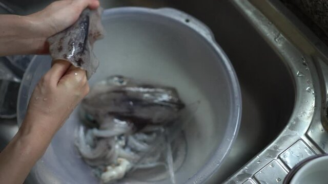 Hands taking middle bone out of fresh cuttle fish squid