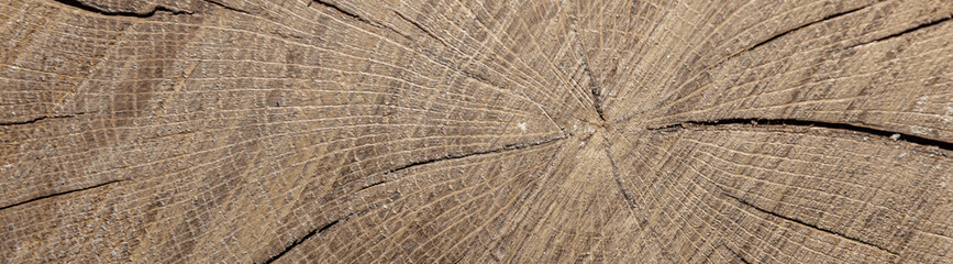 Fototapeta premium Dark brown wooden texture background. Rustic background. Bunner design