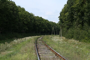 Obraz premium The railway in the forest