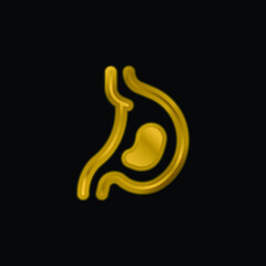 Acid gold plated metalic icon or logo vector