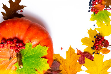 Orange pumpkin decorated with red rowan berries and autumn yellow maple leaves, brown oak leaves...