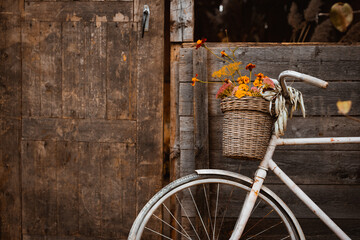 Vintage bicycle leaning on wooden wall of old atmospheric country house on beautiful autumn day