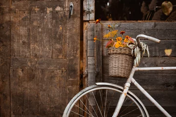 Selbstklebende Fototapete Fahrrad Vintage Fahrrad, das sich an einem schönen Herbsttag auf die Holzwand des alten stimmungsvollen Landhauses stützt