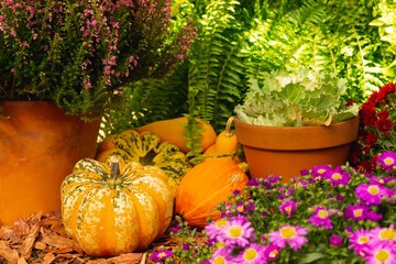Autumn decoration with pumpkins and flowers