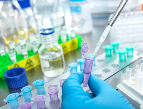 Scientist working with samples in laboratory