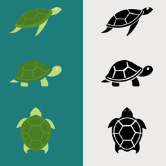 Obraz premium Turtle icon, Sea turtle vector illustration, Logo for buttons, websites, mobile apps and other design needs, Vector image of contour label