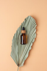 Cosmetic bottle on beige background with tropical. Flat lay.