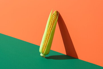 Obraz premium Corn minimalist isolated on colored backgrounds. One corncob in bright light
