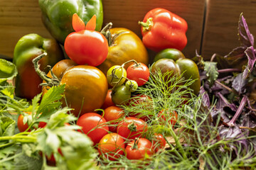 Ripe vegetables with herbs on a wooden background.Harvest from the garden