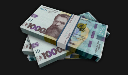 Ukrainian Hryvnia money banknotes pack illustration