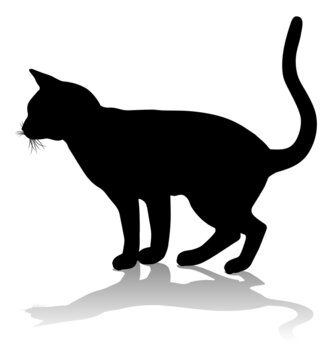 Silhouette Cat Pet Animal