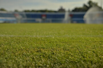 football stadium grass closeup