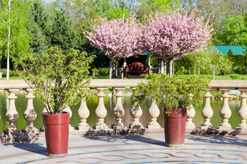Stone balustrade over water with juniper in flowerpots on foreground