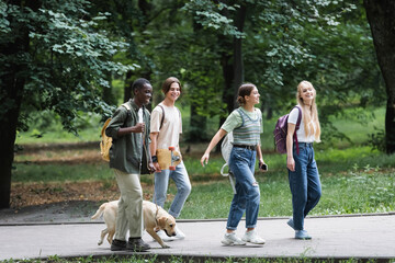 Obraz premium Positive interracial teenagers with backpacks and retriever walking in park