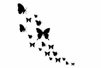 silhouette butterfly