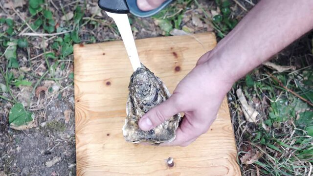 Top view shot of man opening fresh raw oyster shell with an oyster knife on wooden cooking board, man shucking oysters bought on fish market. Expensive raw seafood eating, oysters shell opening